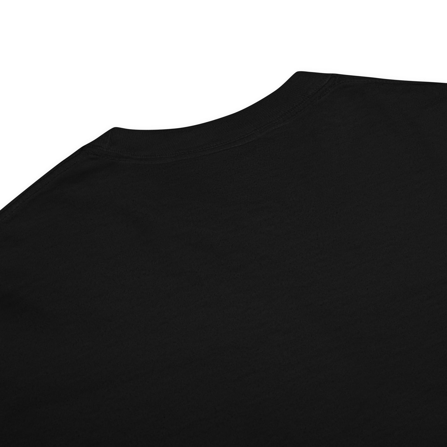 IWWC Logo garment-dyed T-shirt (Unisex)